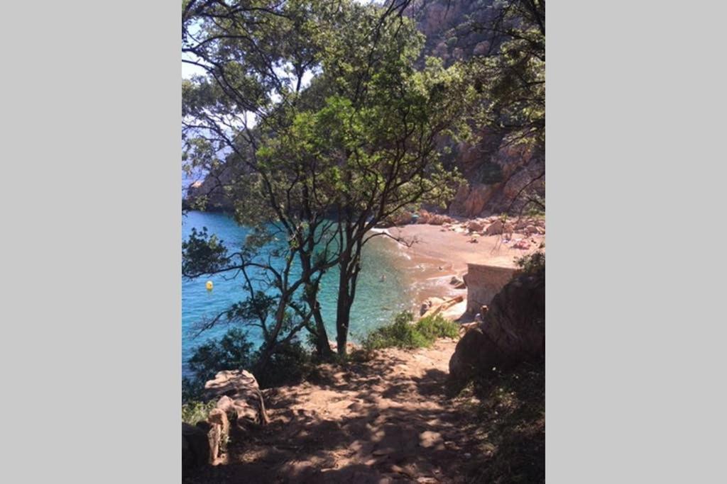 Funtana Nova Piana (Corsica) Exterior foto